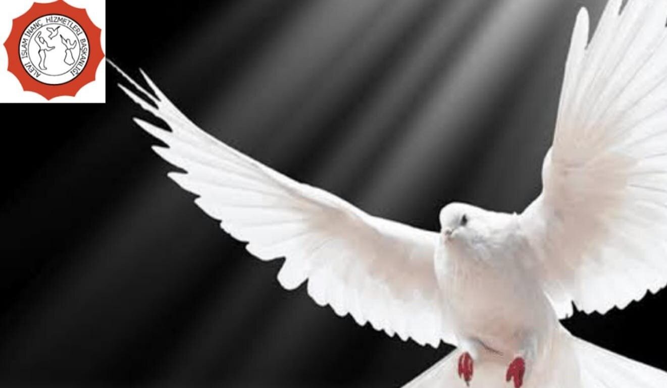 DÜNYA BARIŞ GÜNÜ