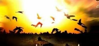 Özgürlük Elçisi Hz. Muhammed (s.a)